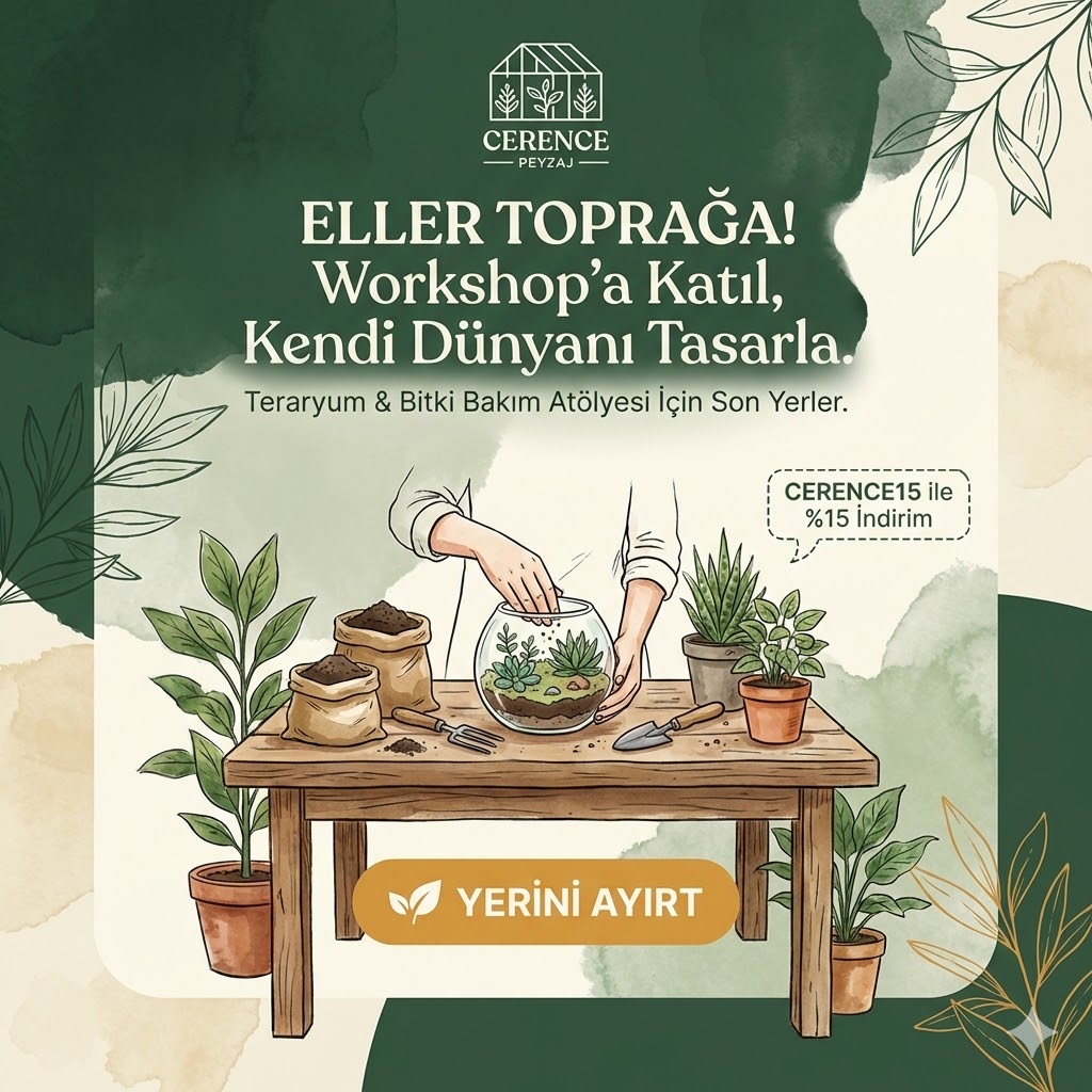 Newsletter Banner